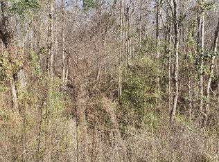 182 Morningside Dr, Jackson, GA 30233