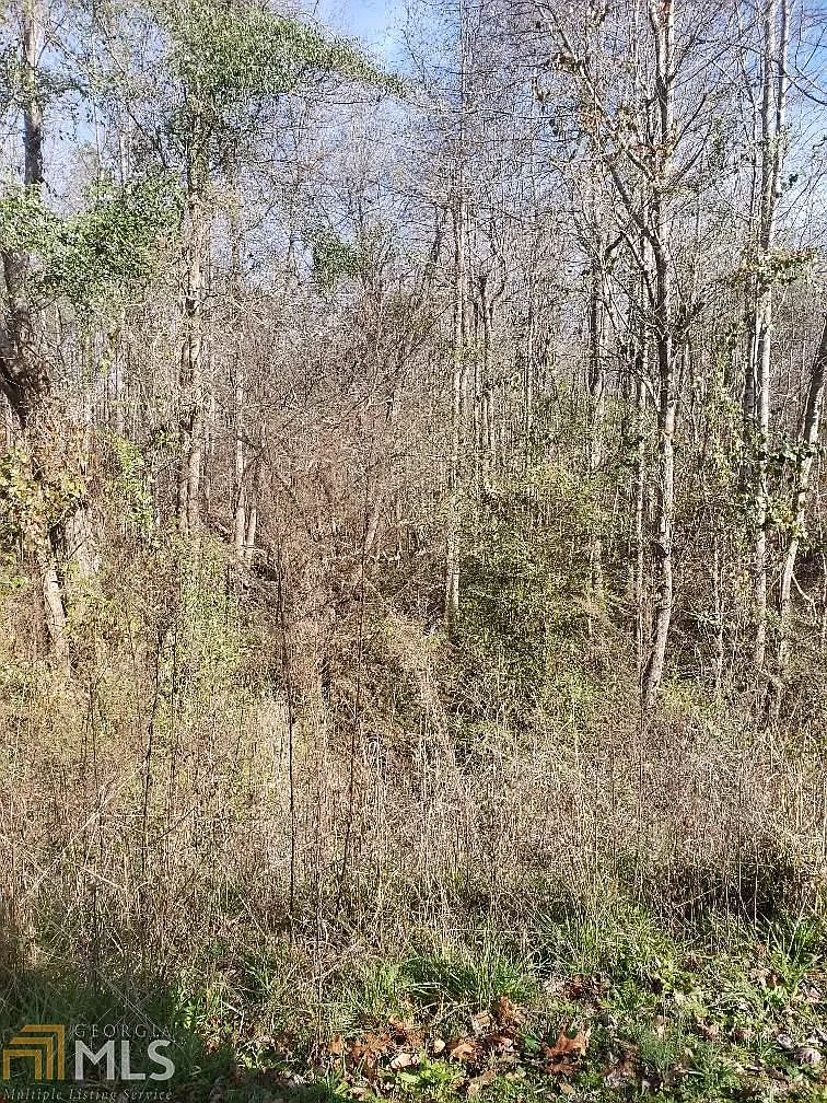182 Morningside Dr photo 1