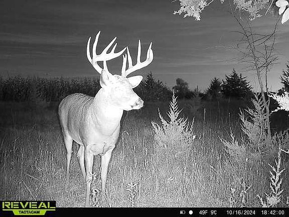 3rd image of 44+/- Acres 14th Road