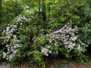 655 Sweetwater Dr, Clarkesville, GA 30523