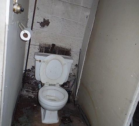 5th image of 771 Fairmont Ave