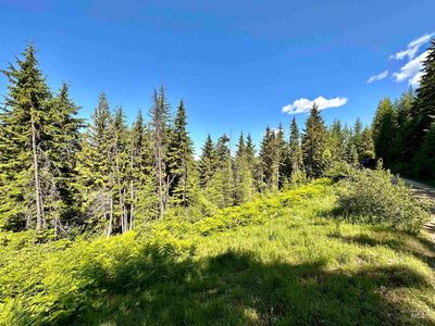 588 Alpine Dr, Fernwood, ID, 83830