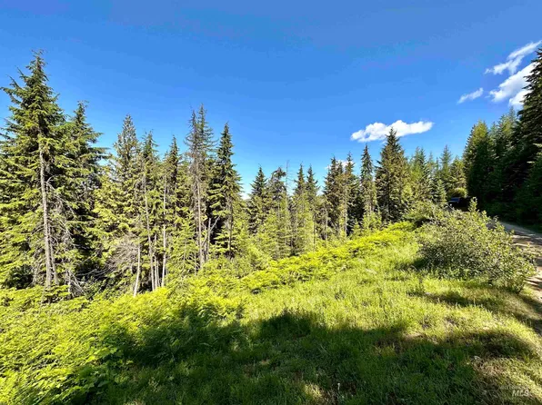 588 Alpine Dr, Fernwood, ID 83830