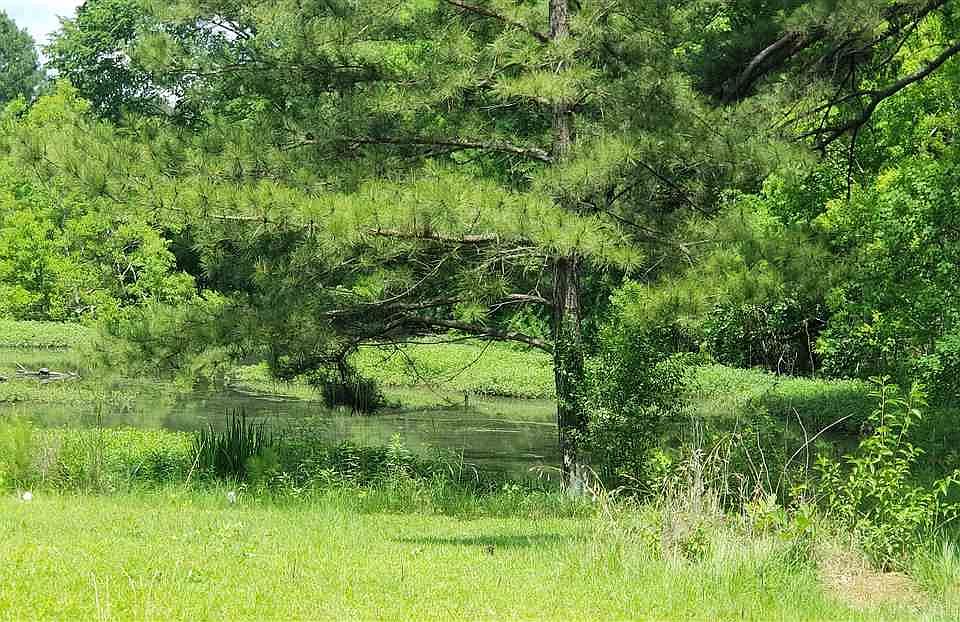 225 Burnham Rd, Brandon, MS 39042 Zillow