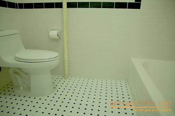 Rented by aptsandlofts.com | media 14