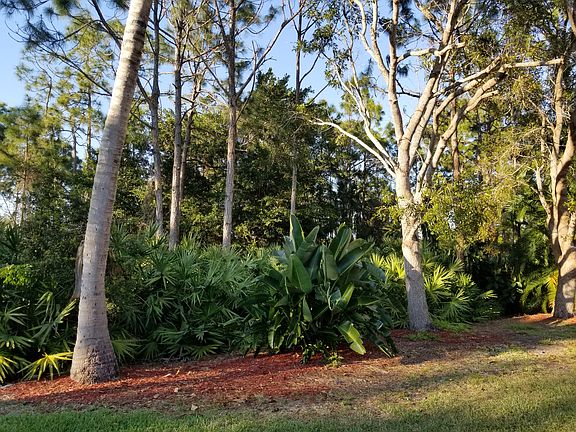 4th image of 7792 Bay Lake Dr