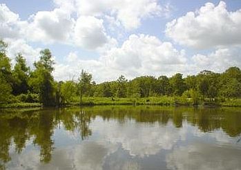4th image of 18520 Wigeon Trail Dr