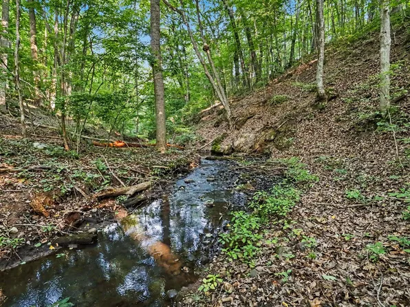 Guernsey Lk, Delton, MI 49046
