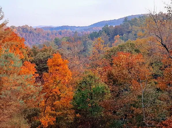 326 Shade Tree Dr #1, Talking Rock, GA 30175