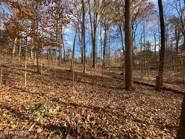 Hiwassee Dr, Jacksboro, TN 37757