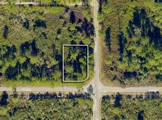 Fisher Pass #1, Ocklawaha, FL 32179