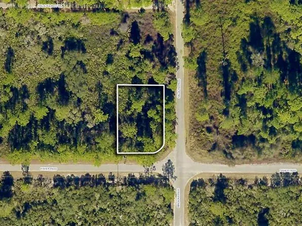Fisher Pass #1, Ocklawaha, FL 32179