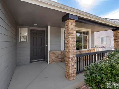 312 Whitney Bay, Windsor, CO, 80550