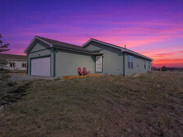 800 Trout Creek Dr, Fairplay, CO 80440