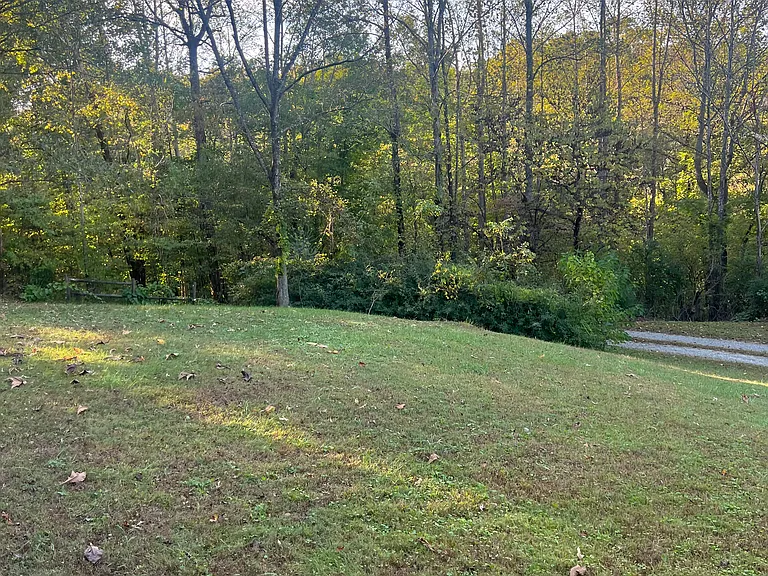 118 Cool Spring Dr — Photo 11