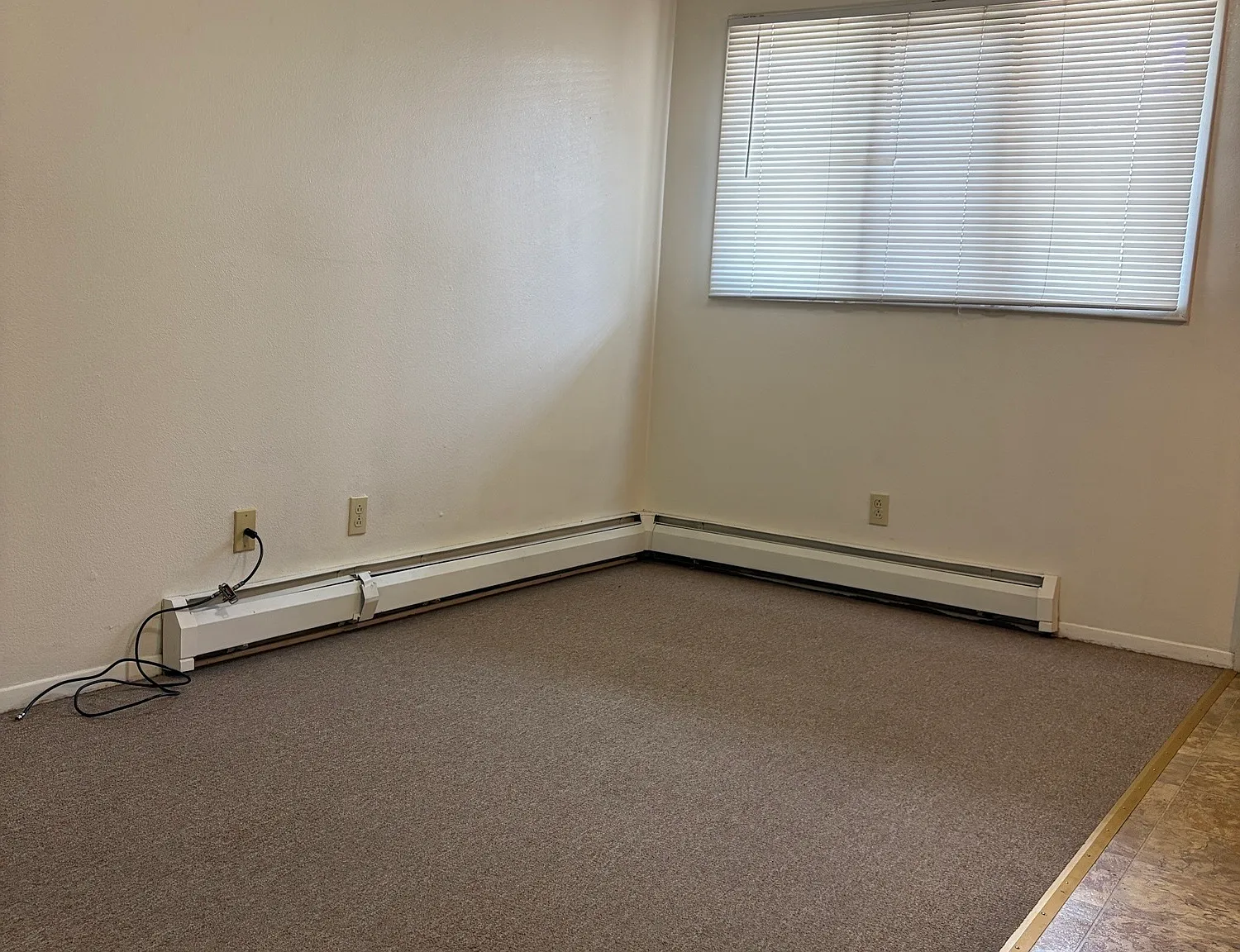 1101 Downey St — Photo 3