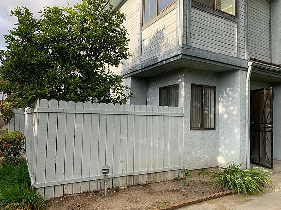 Lemon tree in the patio