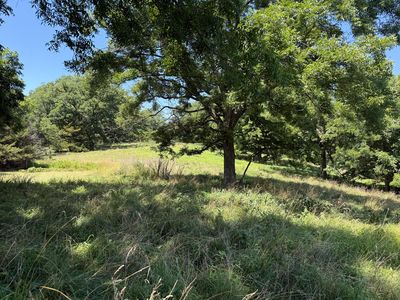 5219 Cowan Ridge Road, Powell, MO, 65730