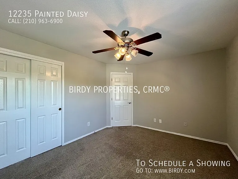 12235 Painted Daisy — Photo 30