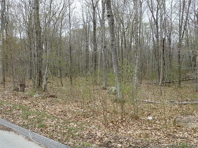 2nd image of 45 Usher Swamp Rd