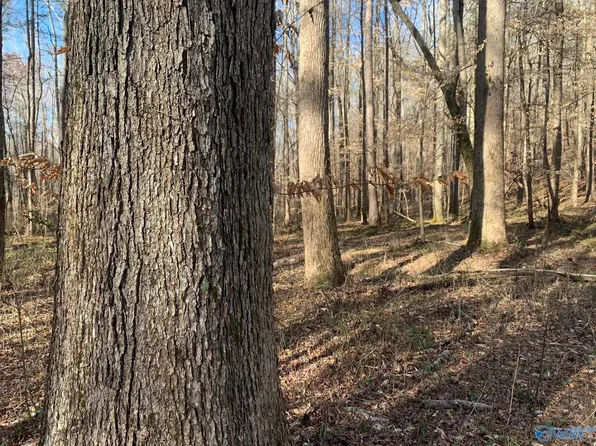 1500 Burton Loop Rd, Altoona, AL 35952