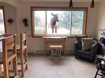 1111 Fairway Club Cir Unit G4, Estes Park, CO, 80517