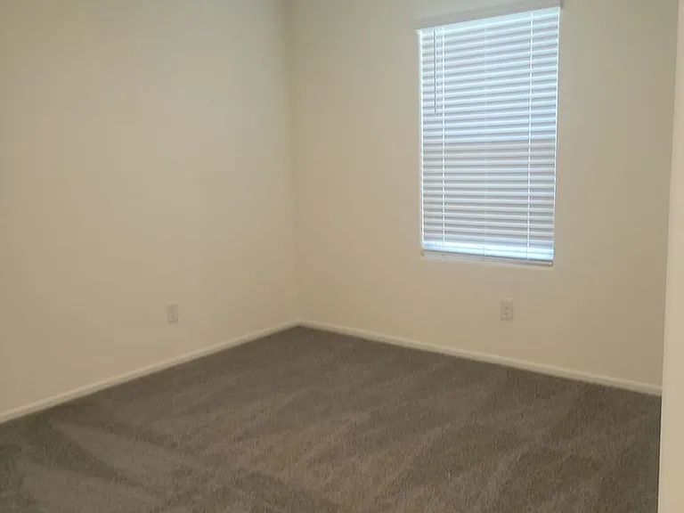 9931 Apricot Hills St — Photo 17