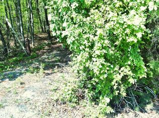 0 157 Highway #24, Menlo, GA 30731