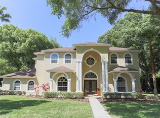 10507 Cyndee Ln, Odessa, FL 33556