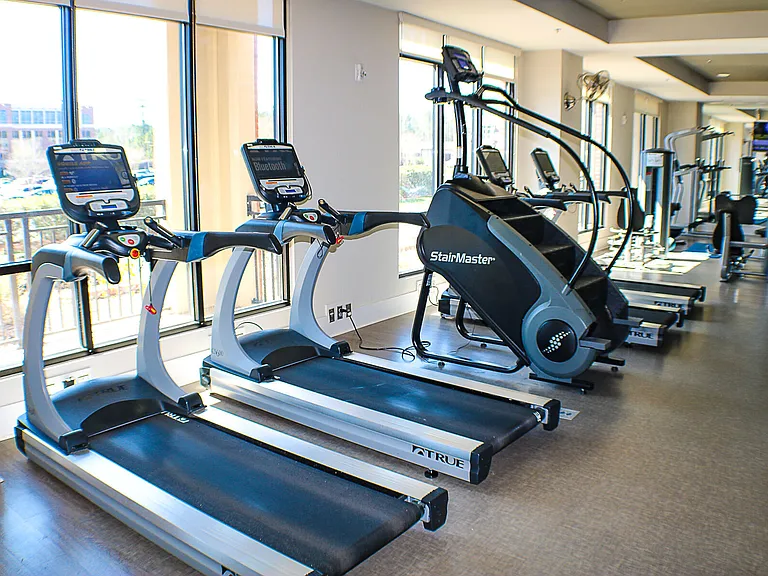 The Apartments at Palladian Place — Photo 9