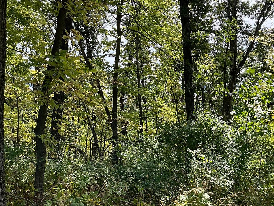 2nd image of Twin Bluff Ln