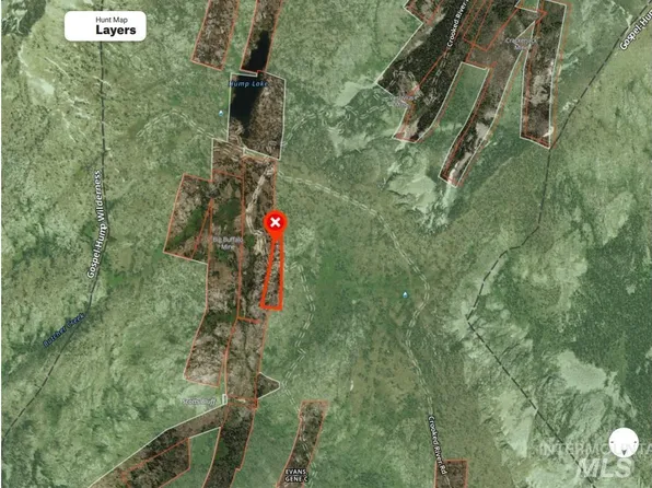 0 Buffalo Hump, Grangeville, ID 83530