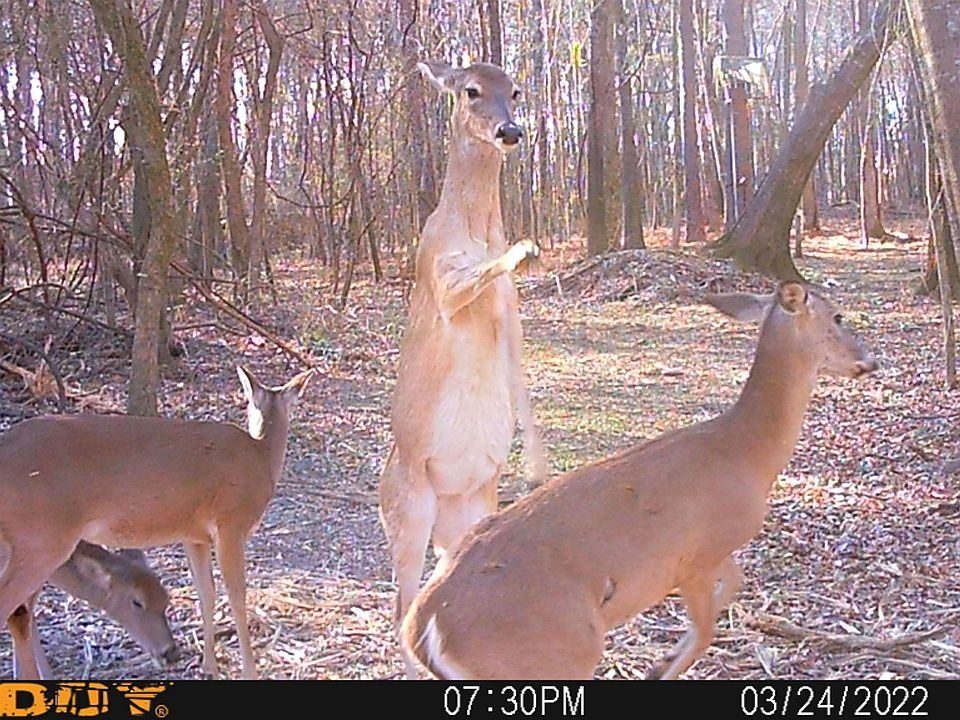 1st image of 0 County Road 3204
