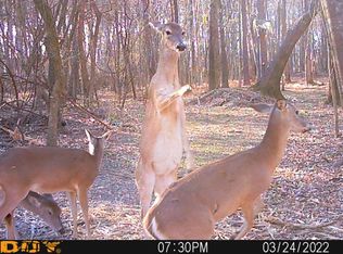 0 County Road 3204, De Kalb, TX 75559