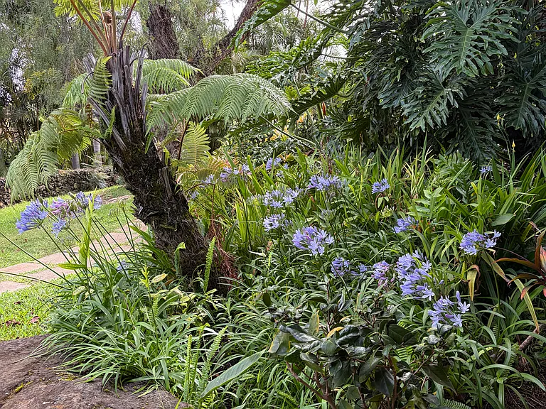 Landscaping