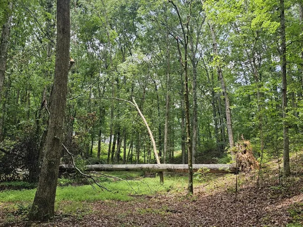 0 Pineywood Dr, Ringgold, GA 30736