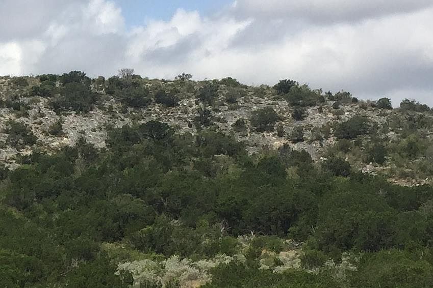 1st image of LOT 119 County Road 407