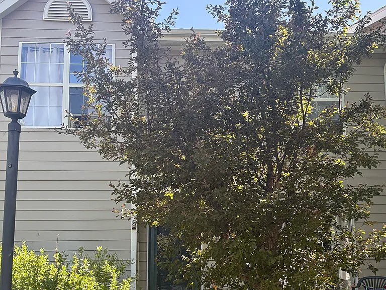 1280 Athens Plz — Photo 13