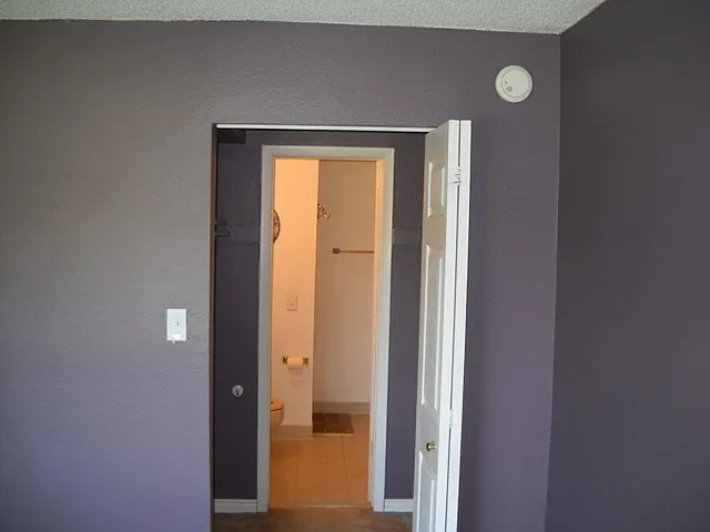 5124 Williams Fork Trl #203 — Photo 5