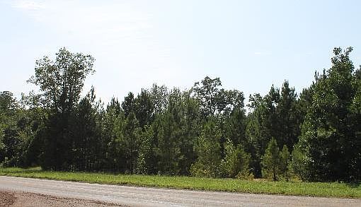 2nd image of 290 County Road 2857