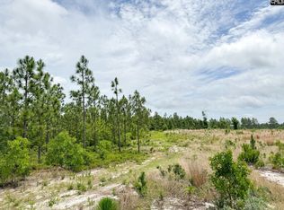 0 Neely Wingard Rd LOT 8, Gilbert, SC 29054