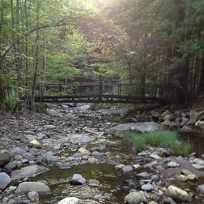Bridge to Paradise!
