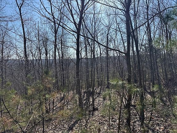 2nd image of 0-0B Brimfield Rd