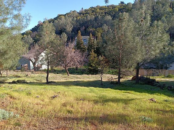 Mid section of 10155 El Capitan