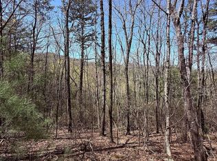 751 Morton Dr #751/752, Ellijay, GA 30540