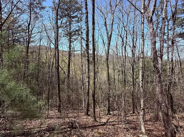 751 Morton Dr #751/752, Ellijay, GA 30540