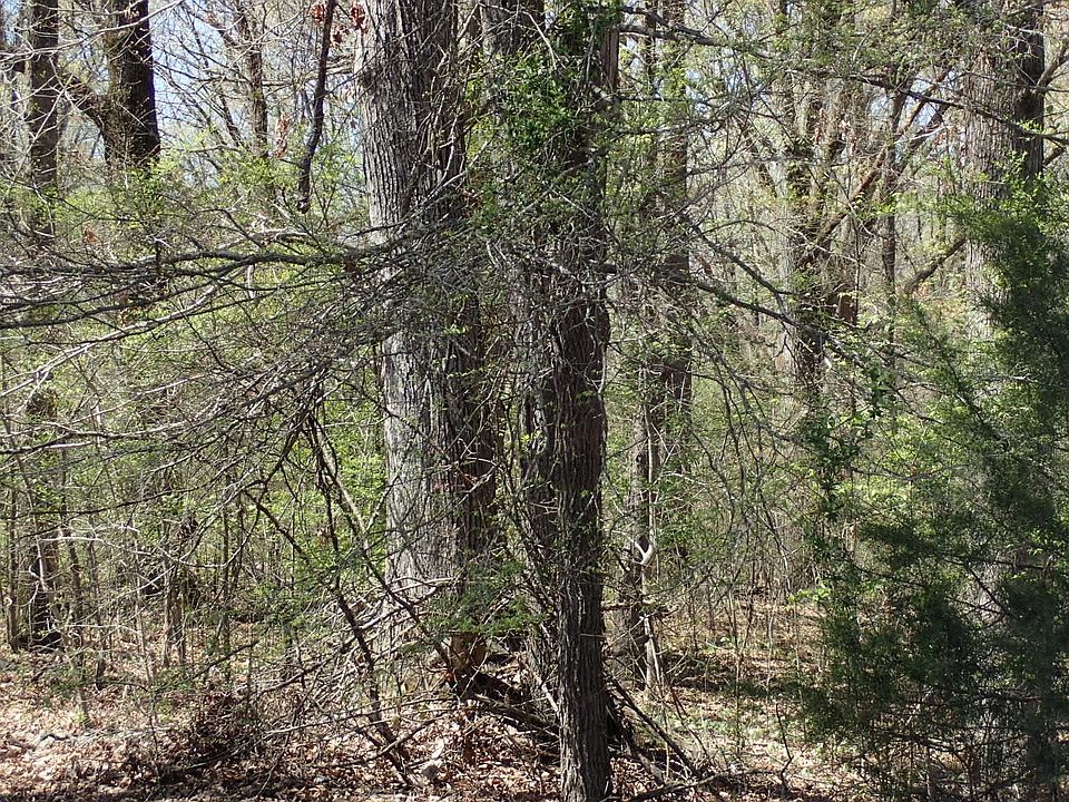 2nd image of 425 Hickory Woods Ln