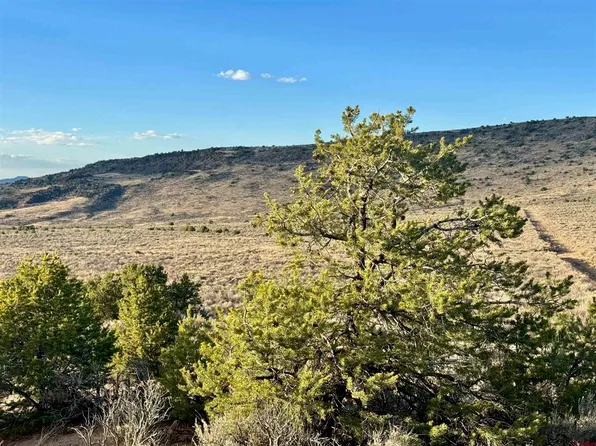 Lot 91 Charro Court, San Luis, CO 81152