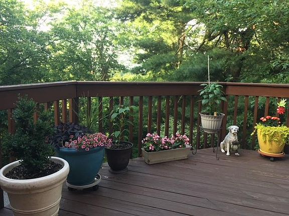 Have a green thumb? The deck provides the perfect canvas fo
