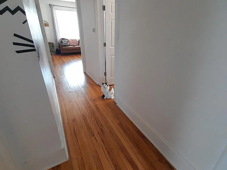 1627 Adams St NE #1 — Photo 5